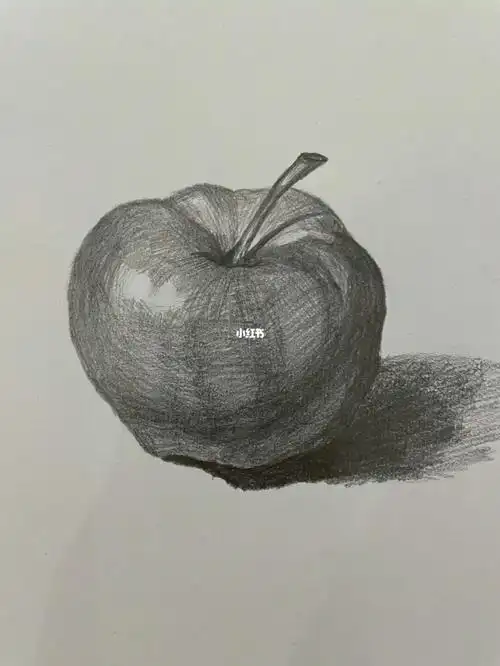 素描苹果素描水果