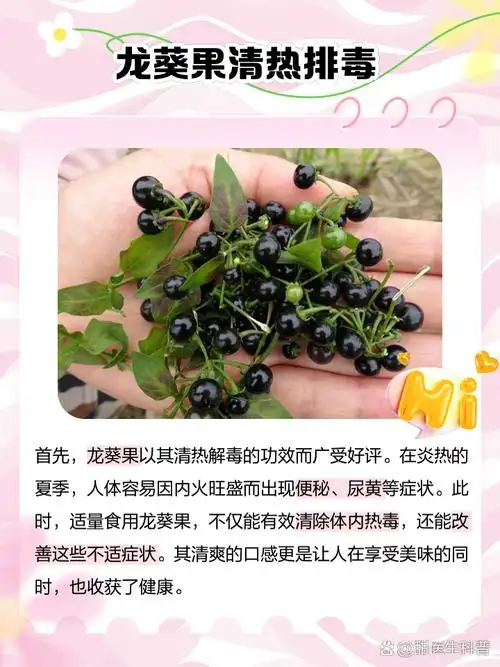 这颗小小的果实不仅颜色鲜艳,口感好,还拥有多种药