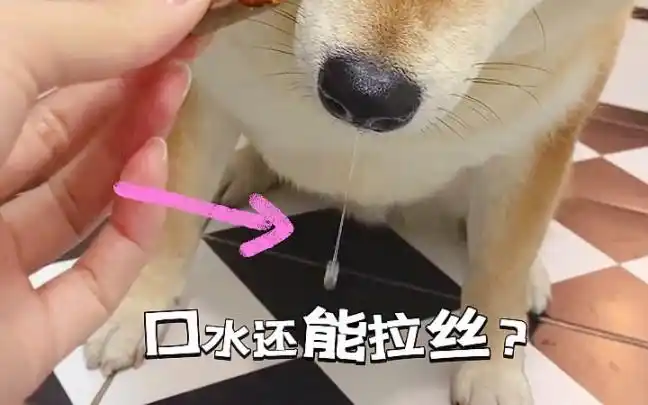 给大家表演一个口水拉丝.