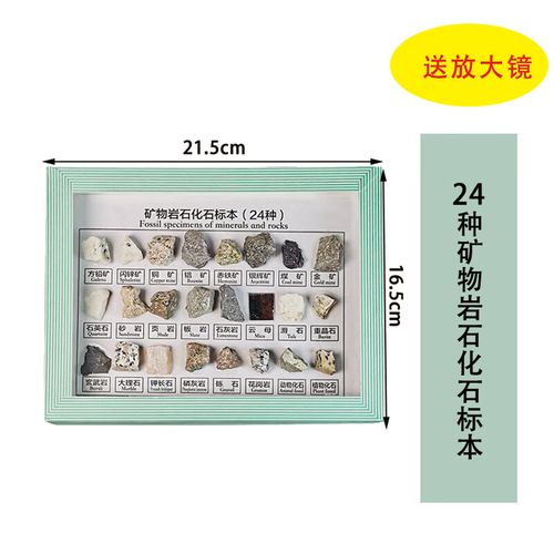教学科学实验简洁活跃思维种类多样矿物岩石化石标本地理配套石头矿石