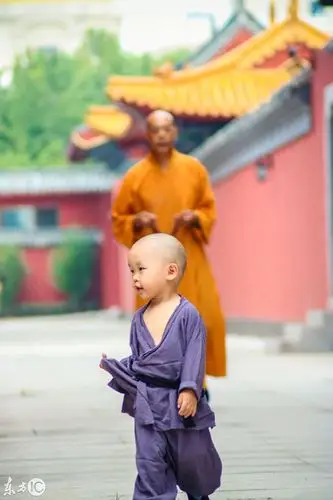 太萌了:汶上宝相寺超萌"小和尚"爆红网红