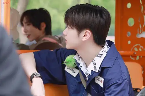 焉栩嘉 - 堆糖,美图壁纸兴趣社区