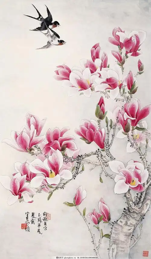 国画玉兰花作品欣赏 国画玉兰花作品欣赏图