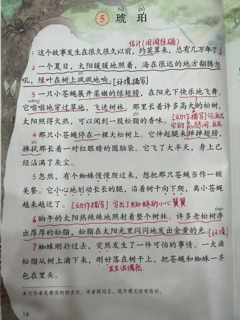 四下课堂笔记|第五课 琥珀 #小学语文# #课堂笔记# #小学语文课堂笔记