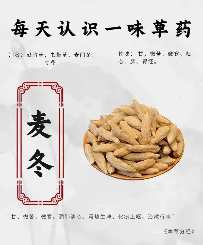 每天认识一味中草药﹣麦冬 中药名:麦冬  - 抖音