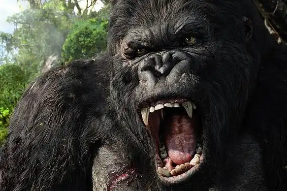 5年准rmb金刚玩家客观分析金刚职业现状