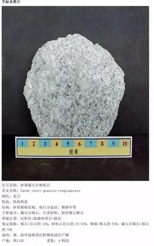 三大岩类薄片,手标本对照,轻松认识213种岩石!