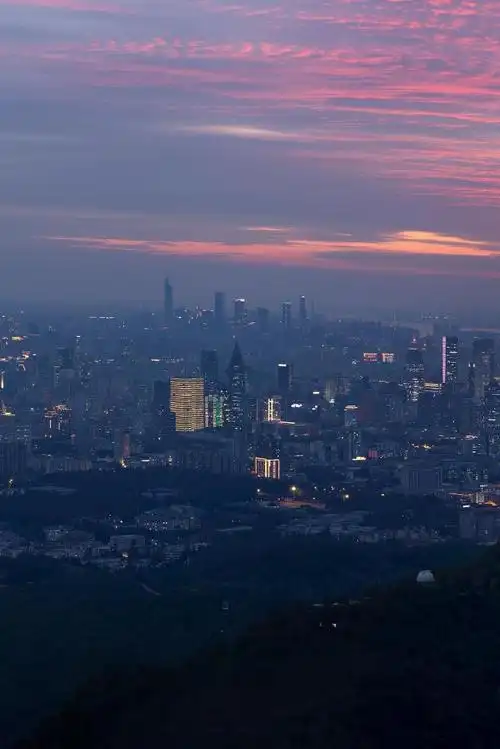 南京紫金山夜景氛围感绝了
