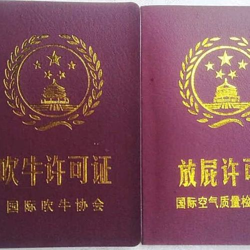 吹牛许可证 放屁许可证 国际吹牛不打草稿协会搞笑证书可制作照片