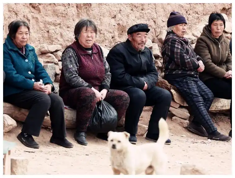 农村老人没有交社保,该怎么办?还能补救吗?看完了解了