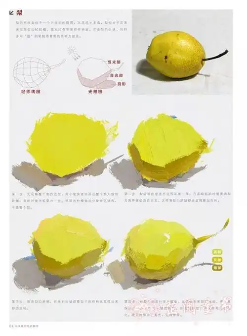 敲门砖绘画入门正规教程从单体到色彩静物水粉画零基础入门名师教你画