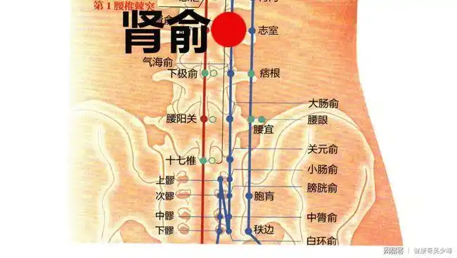 健康哥给你分享美丽女人灸来丰胸