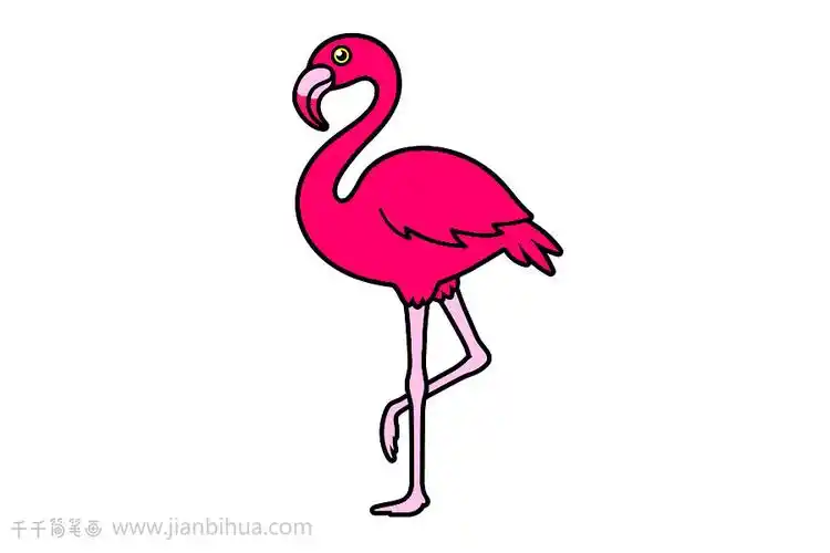 火烈鸟简笔画如何画