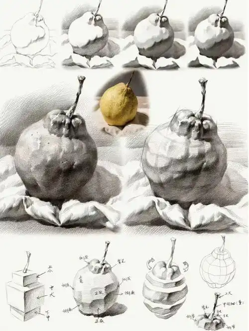 素描水果单个塑造
