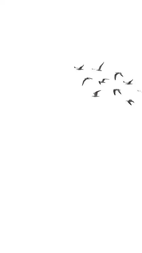 qq白底聊天背景(看不见默认气泡)/简约手机壁纸