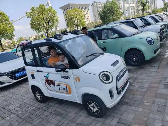 恭喜 周女士 喜提特鲁夫电轿!#接送孩子上下学代步车 #四轮 - 抖音