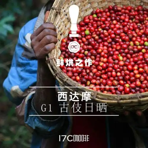 17c咖啡 | 下单现烘 埃塞俄比亚 耶加雪菲 西达摩g1古伎日晒 125g
