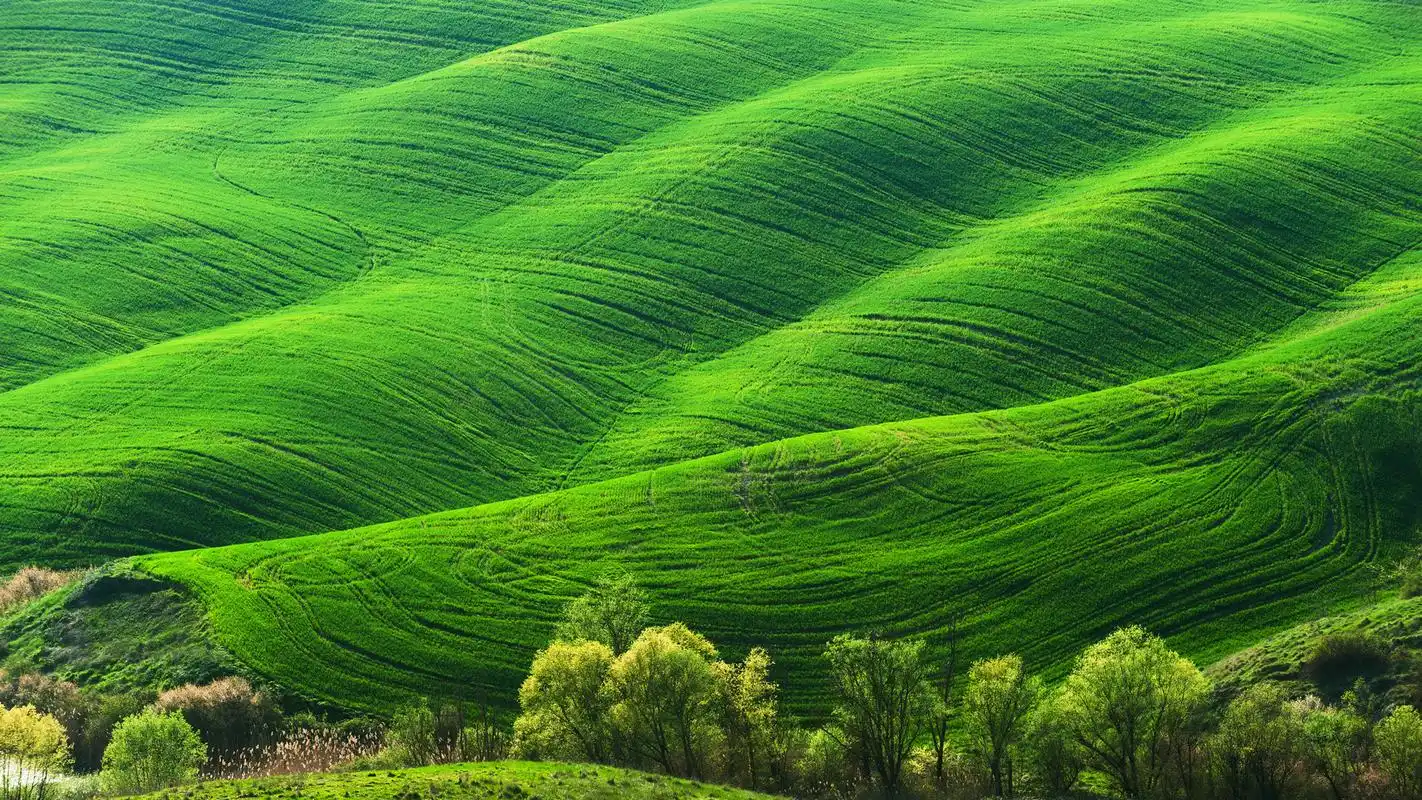 二,求电脑桌面壁纸,保护眼睛的,最好是大自然之类的,有其他的