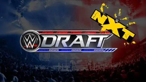 wwe明星转会钉子户,这些超级巨星从首秀之日起就没挪过窝|smackdown