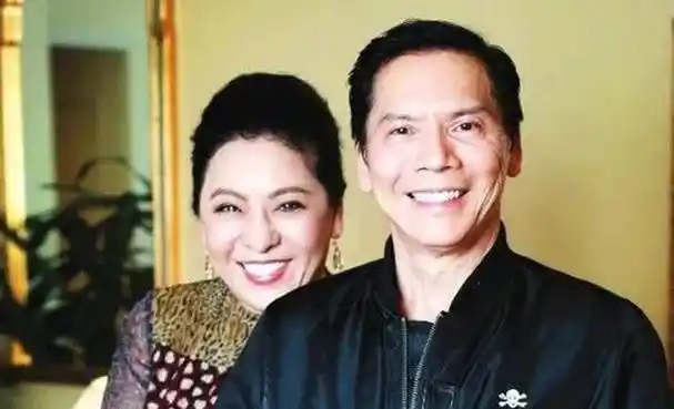 向太陈岚霸气:"我是向华强的女人"_丈夫_因为_丁佩