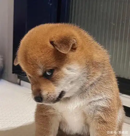 所以现在,通过朋友这件事,我瞬间明白了,管你什么目光眼神,老子就喜欢