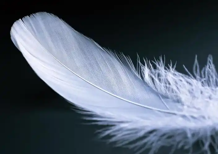 晚上回家了,咳得厉害,更无心睡眠,记今一贰小事,以作他年之萦念,平生