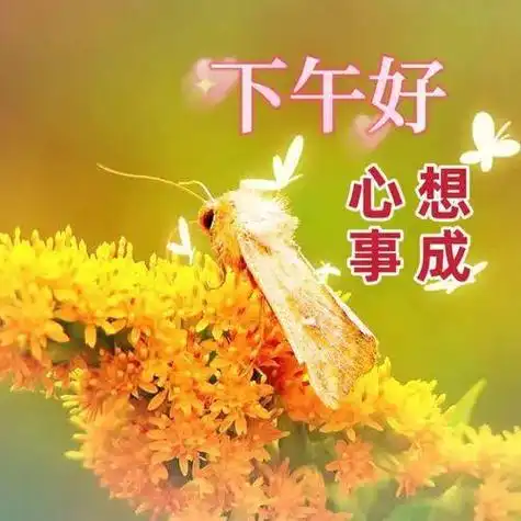 下午好最新漂亮图片下午好问候美图祝你健康快乐幸福吉祥如意