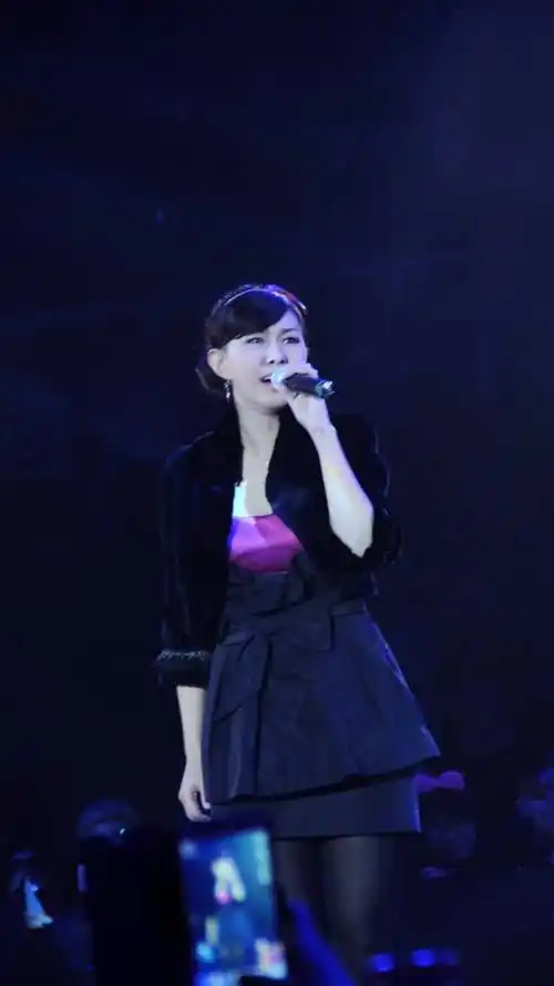 卓依婷,**明星,美女明星,歌手,演员,手机壁纸卓依婷演唱会照片