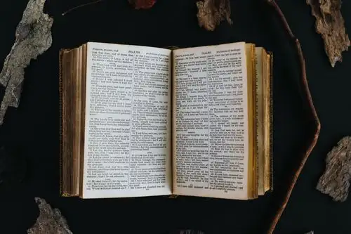 阅读翻开的书籍图片第1张