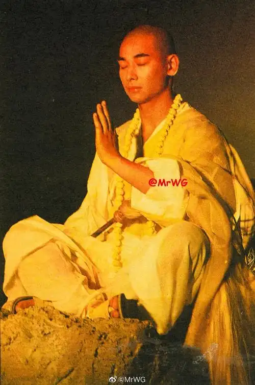 独家扫描##赵文卓