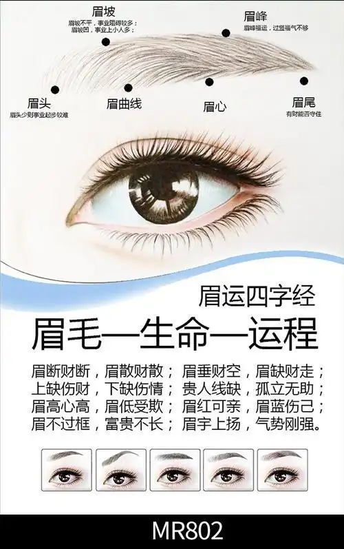 运势眉真的可以改变运势吗运势眉跟普通眉有什么区别