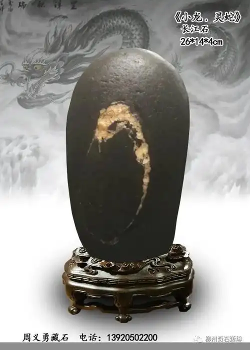 生肖龙型奇石