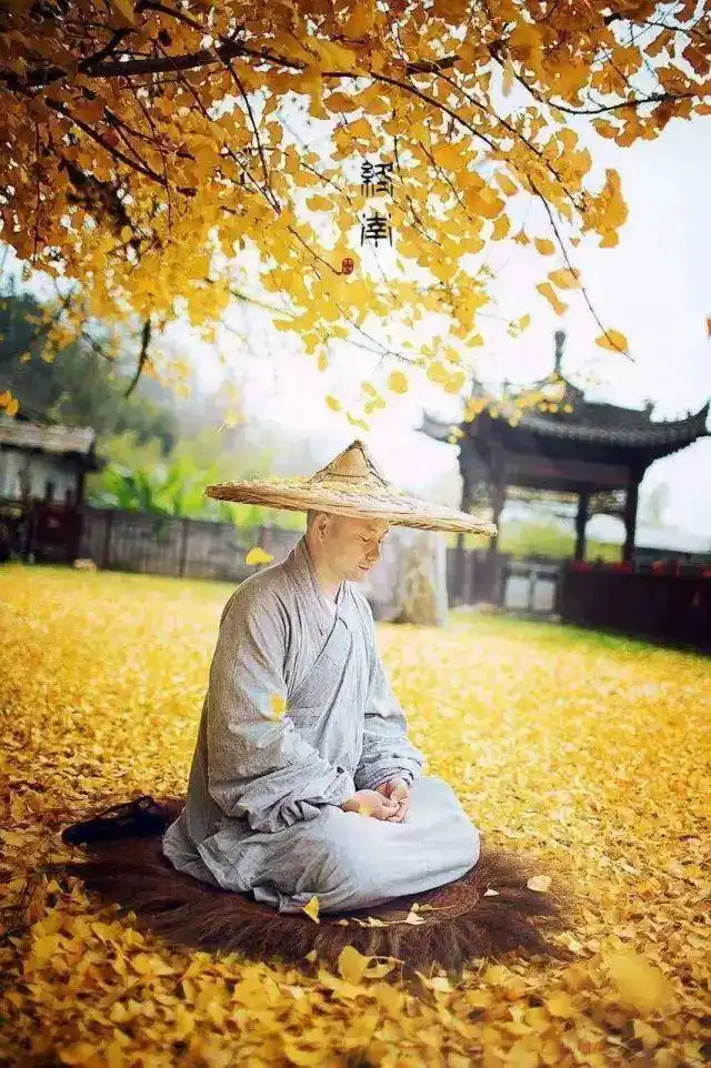 银杏黄了,古寺 僧人,禅意与仙境的味道