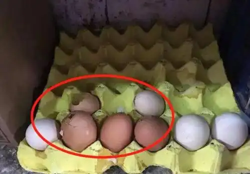 4岁孩子超市摔碎鸡蛋,店员要求10倍赔偿,妈妈的做法令人称赞