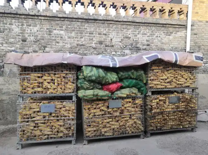 祁县农村玉米笼组图合集大全越失败越有趣