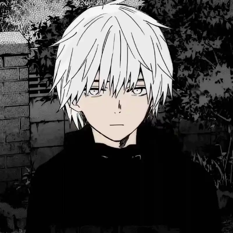 帅气黑白动漫男头