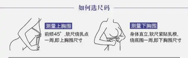 胸围80算大还是小