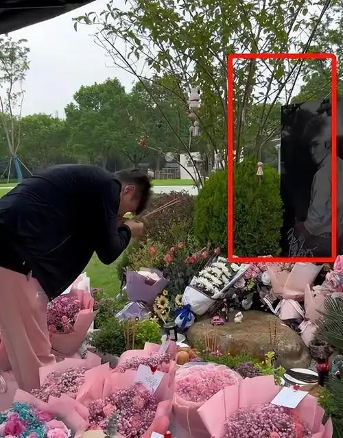 乔任梁去世六周年父母和陈乔恩前往墓地祭奠粉色鲜花漫山遍野