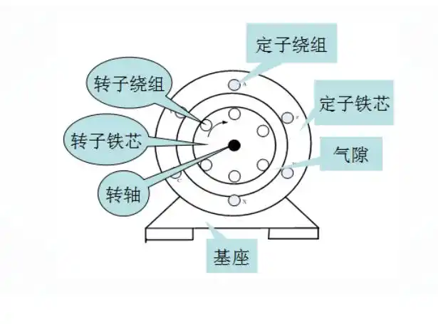 三相电动机的转子和定子要同时通电吗?