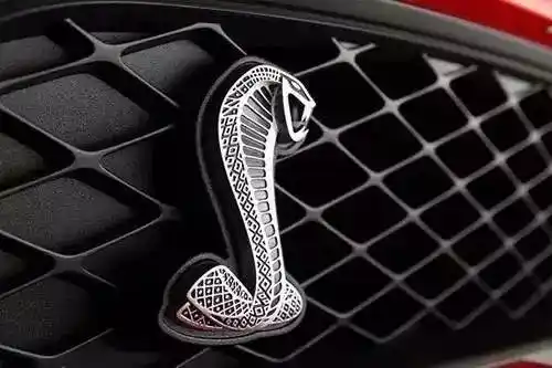 车标上的动物都是啥来头看完又能装x了