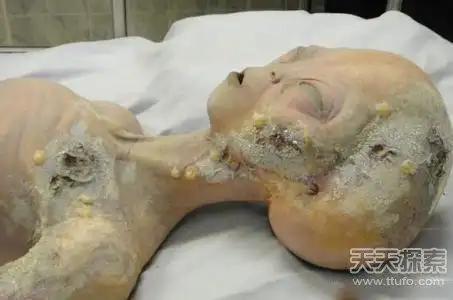 世界上最神秘的地方 51区有外星人出没!(2)