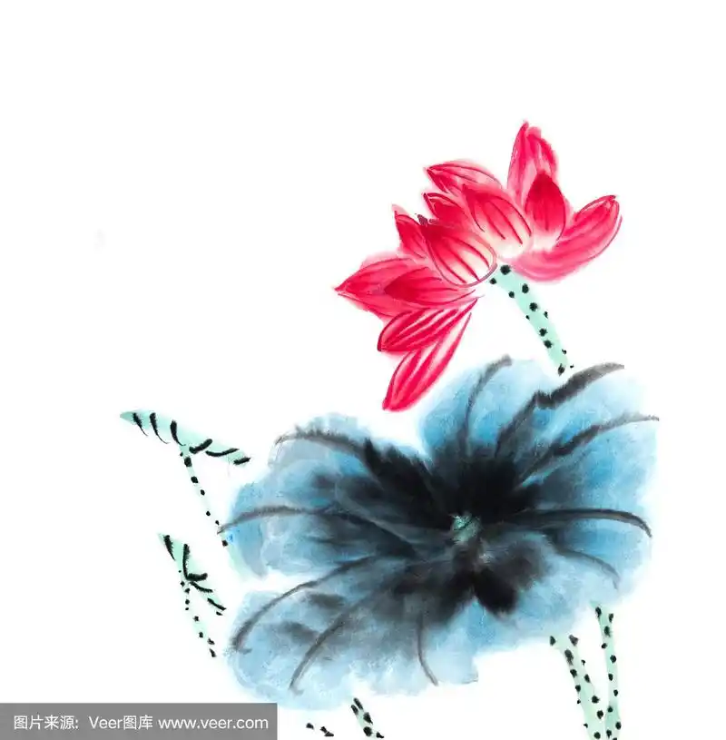 荷花手绘水墨,中国水彩画
