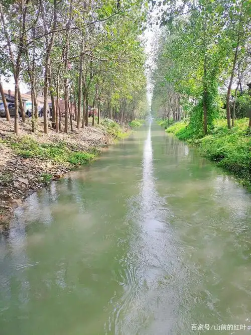 村里的小河一景