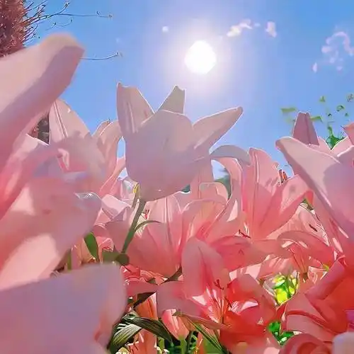 背景图超加分的高质量背景图