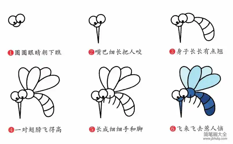 简笔画蚊子的画法