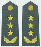中国人民解放军陆军上将肩章(2007—)