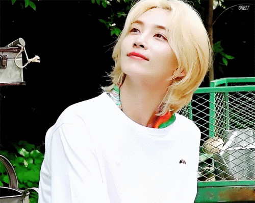 【其他】次花 尹净汉dicon单封 物料汇总 (0721更新)