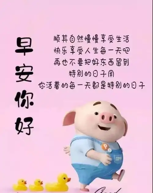 微信唯美早上好问候语图片表情精选 朋友群新版最美早上好祝福