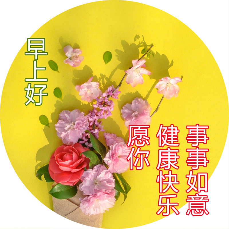 最新版漂亮早安图片鲜花带字,最美早上好问候语图片带字温馨