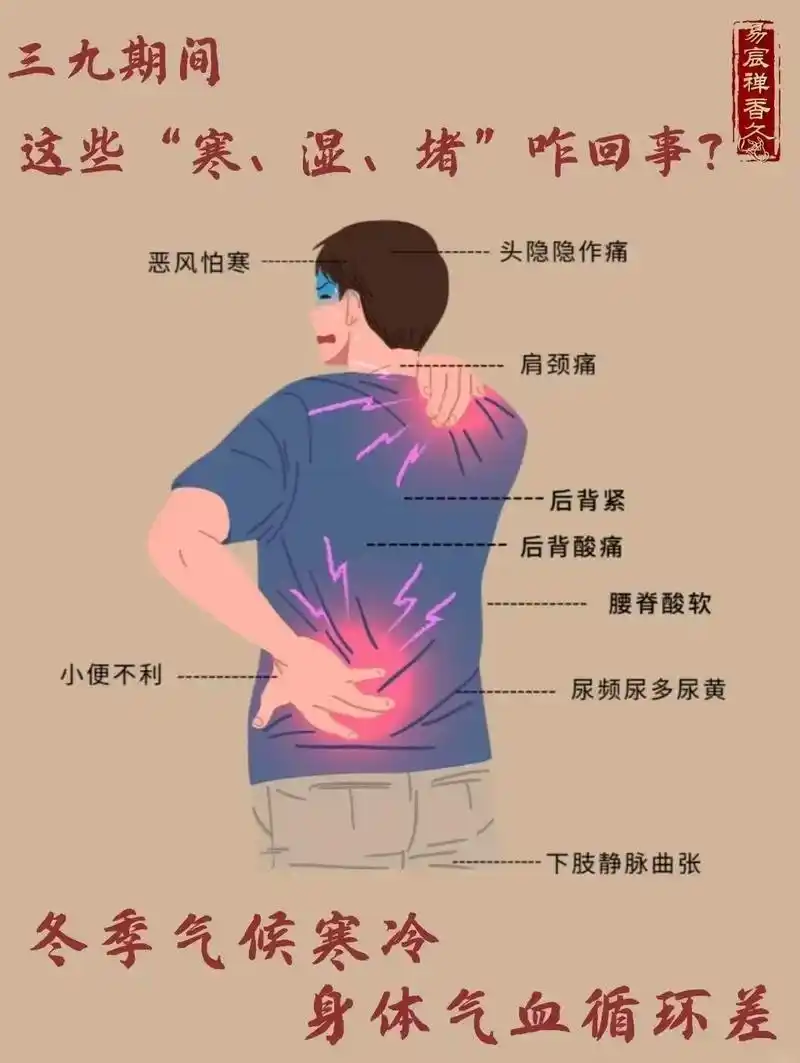 回事后背酸痛三九期间尿频尿多尿黄肩颈痛小便不利易宸禅香久气下肢